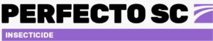 Perfecto SC
