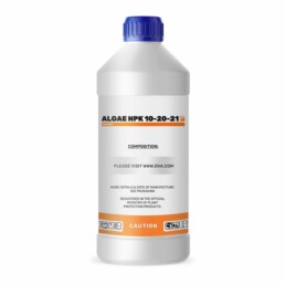 INCENTIA-ALGAE-10-20-21